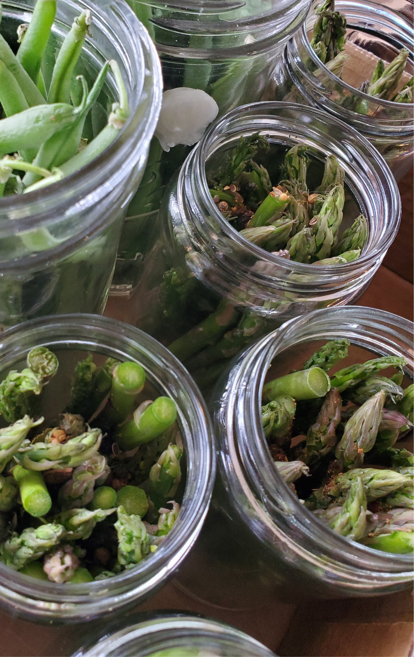 Pickled Asparagus