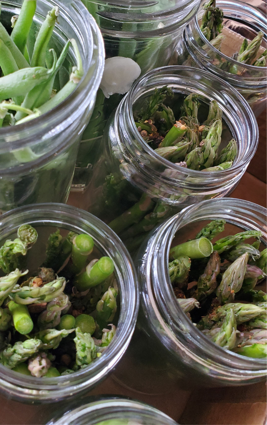 Pickled Asparagus