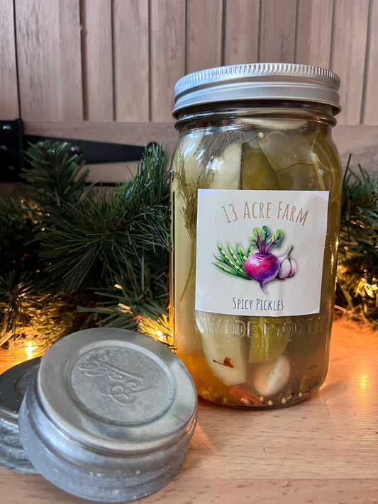 Spicy Dill Pickles